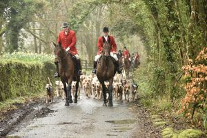 1772029388_1772029388_dsc7959