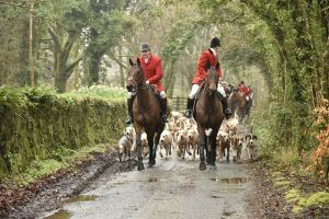 1772029393_1772029393_dsc7960