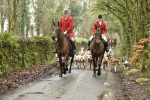 1772029402_1772029402_dsc7963