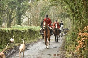 1772029413_1772029413_dsc7965