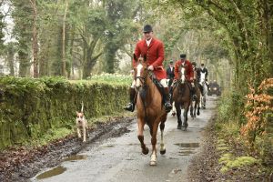 1772029417_1772029417_dsc7966