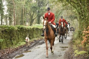 1772029422_1772029422_dsc7967