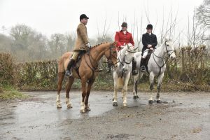 1772029506_1772029506_dsc7986