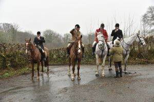 1772029526_1772029526_dsc7991