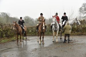 1772029533_1772029533_dsc7993