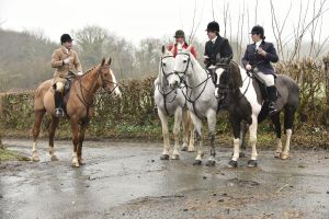 1772029628_1772029628_dsc8010