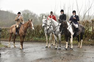 1772029636_1772029636_dsc8012