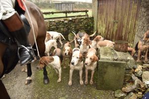 1772029644_1772029644_dsc8014