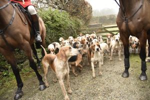 1772029651_1772029651_dsc8015