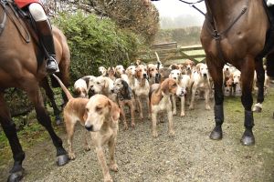 1772029660_1772029660_dsc8017