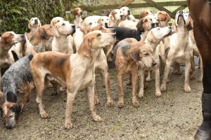 1772029668_1772029668_dsc8019