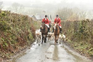 1772029744_1772029744_dsc8037