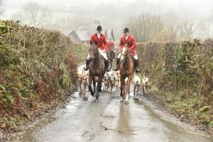 1772029748_1772029748_dsc8038