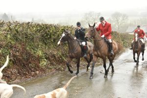 1772029761_1772029761_dsc8041