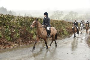 1772029801_1772029801_dsc8051