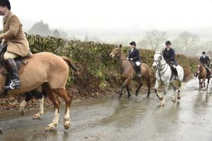 1772029833_1772029833_dsc8059