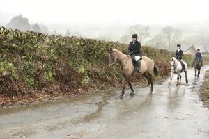 1772029853_1772029853_dsc8065