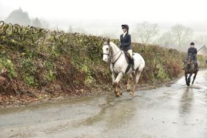 1772029865_1772029865_dsc8068