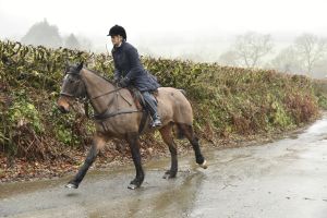 1772029873_1772029873_dsc8070