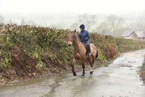 1772029877_1772029877_dsc8071