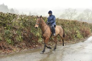 1772029886_1772029886_dsc8073