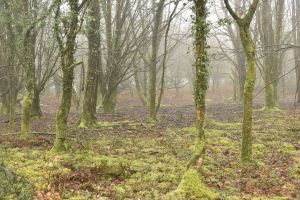 1772029891_1772029891_dsc8074