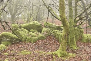 1772029901_1772029901_dsc8076