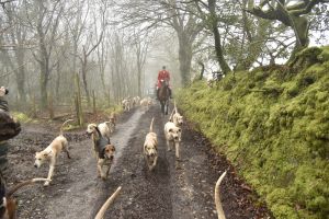 1772029909_1772029909_dsc8078