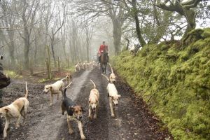 1772029914_1772029914_dsc8079