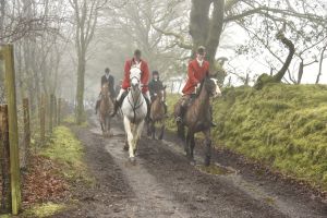 1772029926_1772029926_dsc8082