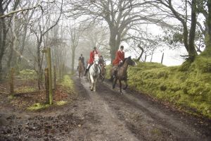 1772029930_1772029930_dsc8083