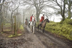 1772029934_1772029934_dsc8084