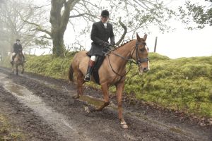 1772029942_1772029942_dsc8086