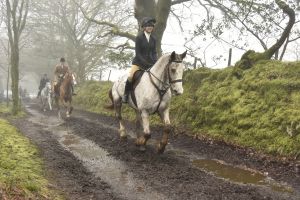 1772029967_1772029967_dsc8092