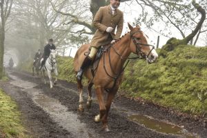 1772029975_1772029975_dsc8094