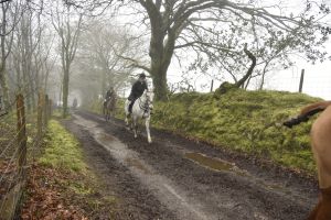 1772029979_1772029979_dsc8095