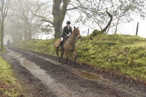 1772029992_1772029992_dsc8098