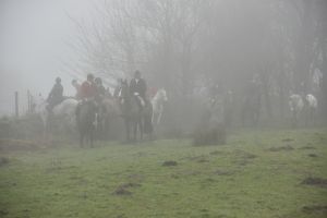 1772030009_1772030009_dsc8103