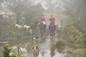 1772030020_1772030020_dsc8106