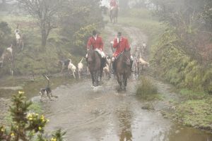 1772030028_1772030028_dsc8108