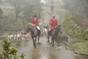 1772030033_1772030033_dsc8109