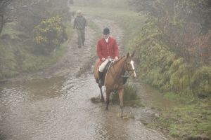 1772030048_1772030048_dsc8113