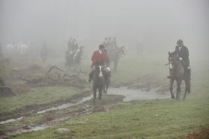 1772030059_1772030059_dsc8116