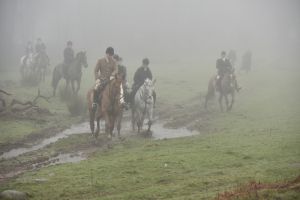 1772030076_1772030076_dsc8121