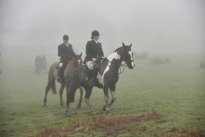 1772030089_1772030089_dsc8125