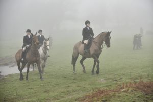 1772030100_1772030100_dsc8128