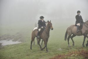 1772030106_1772030106_dsc8130