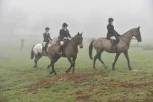 1772030111_1772030111_dsc8131