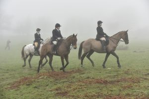 1772030114_1772030114_dsc8132