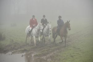 1772030117_1772030117_dsc8133